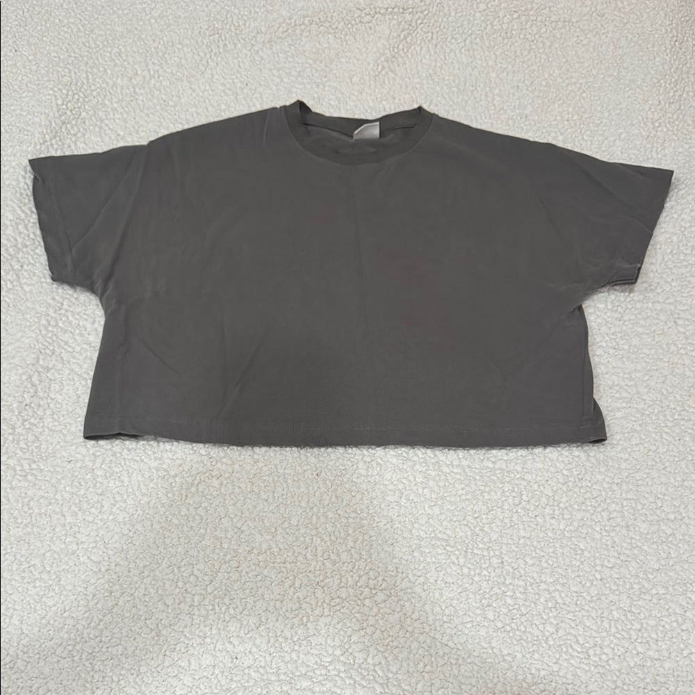 Zara Gray Boxy Crop T-Shirt